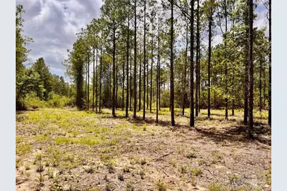 Lot 96 Turning Leaf Rd, Jay, FL 32565 - Photo 28