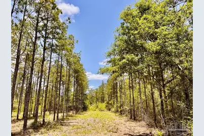 Lot 96 Turning Leaf Rd, Jay, FL 32565 - Photo 22