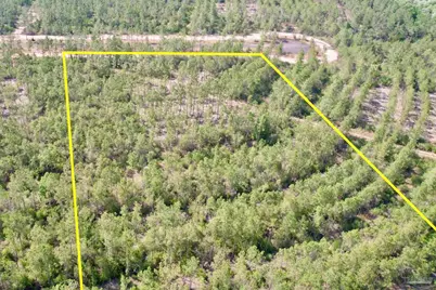 Lot 97 Turning Leaf Rd, Jay, FL 32565 - Photo 2