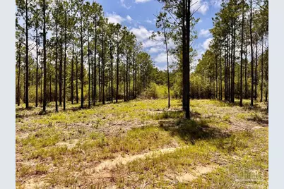 Lot 97 Turning Leaf Rd, Jay, FL 32565 - Photo 18
