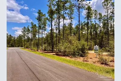 Lot 97 Turning Leaf Rd, Jay, FL 32565 - Photo 8