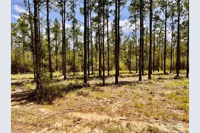 Lot 97 Turning Leaf Rd, Jay, FL 32565 - Photo 14