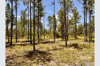 Lot 97 Turning Leaf Rd, Jay, FL 32565 - Photo 12