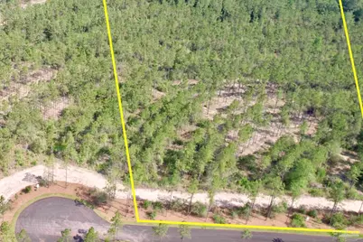 Lot 97 Turning Leaf Rd, Jay, FL 32565 - Photo 6