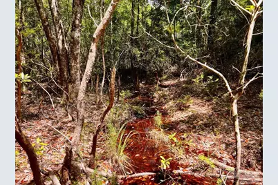 Lot 98 Turning Leaf Rd, Jay, FL 32565 - Photo 24