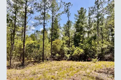 Lot 98 Turning Leaf Rd, Jay, FL 32565 - Photo 18