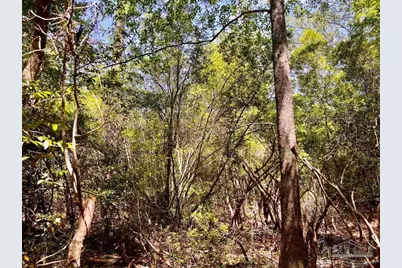 Lot 98 Turning Leaf Rd, Jay, FL 32565 - Photo 22