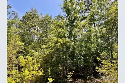 Lot 98 Turning Leaf Rd, Jay, FL 32565 - Photo 28