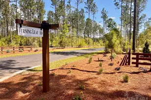 Lot 98 Turning Leaf Rd, Jay, FL 32565 - Photo 1