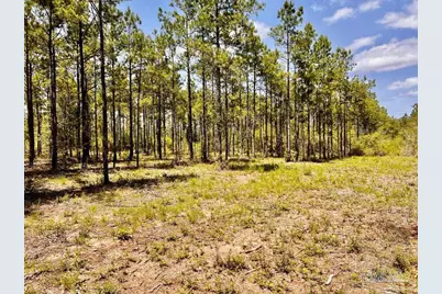 Lot 98 Turning Leaf Rd, Jay, FL 32565 - Photo 12