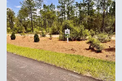 Lot 98 Turning Leaf Rd, Jay, FL 32565 - Photo 8