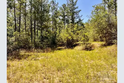 Lot 98 Turning Leaf Rd, Jay, FL 32565 - Photo 20