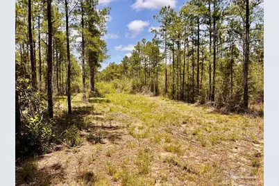 Lot 98 Turning Leaf Rd, Jay, FL 32565 - Photo 14