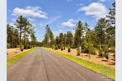 Lot 98 Turning Leaf Rd, Jay, FL 32565 - Photo 10