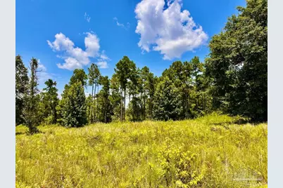 Lot 38 Br Buffalo Ridge Rd, Pace, FL 32571 - Photo 16