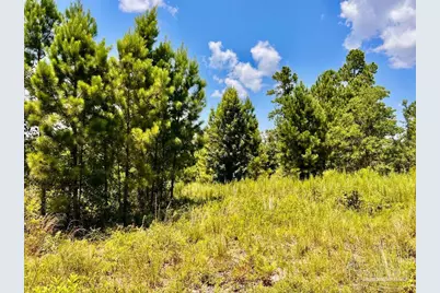Lot 38 Br Buffalo Ridge Rd, Pace, FL 32571 - Photo 20