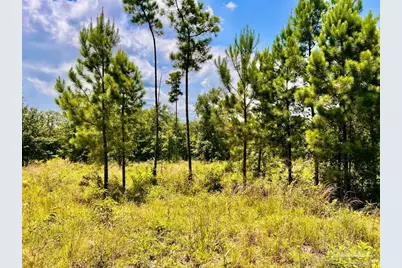 Lot 38 Br Buffalo Ridge Rd, Pace, FL 32571 - Photo 22