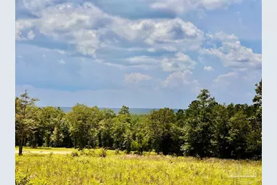 Lot 38 Br Buffalo Ridge Rd, Pace, FL 32571 - Photo 6