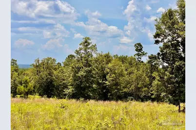 Lot 38 Br Buffalo Ridge Rd, Pace, FL 32571 - Photo 14