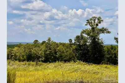 Lot 38 Br Buffalo Ridge Rd, Pace, FL 32571 - Photo 8