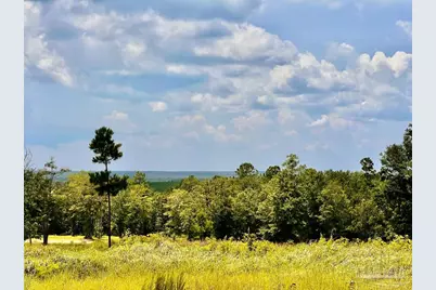 Lot 38 Br Buffalo Ridge Rd, Pace, FL 32571 - Photo 4