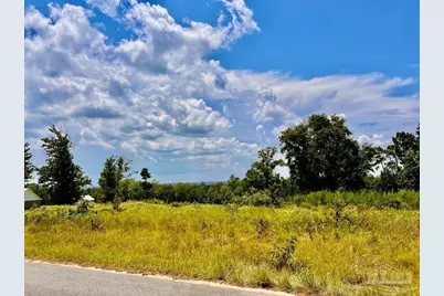 Lot 38 Br Buffalo Ridge Rd, Pace, FL 32571 - Photo 10
