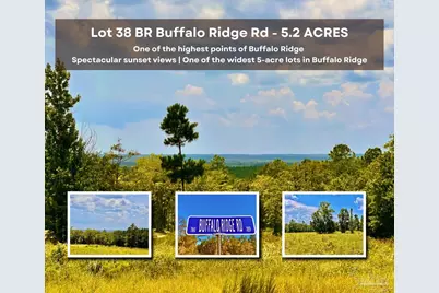 Lot 38 Br Buffalo Ridge Rd, Pace, FL 32571 - Photo 1