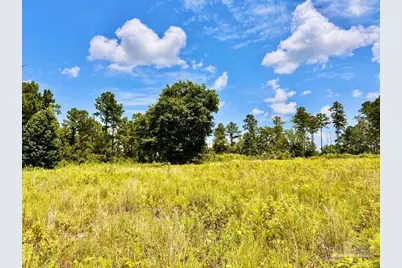 Lot 38 Br Buffalo Ridge Rd, Pace, FL 32571 - Photo 18