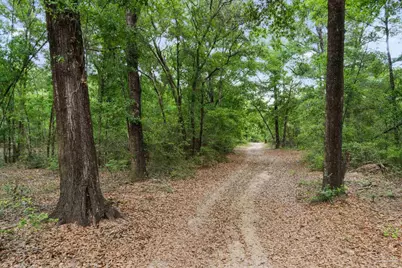 Lot 15 Peaceful Ln, Milton, FL 32570 - Photo 14