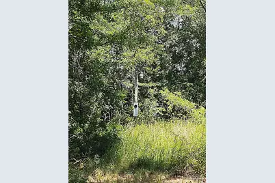 6595 Old Hwy 90, Milton, FL 32570 - Photo 8