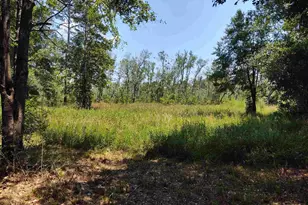 6595 Old Hwy 90, Milton, FL 32570 - Photo 1