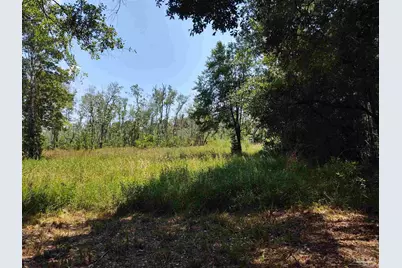 6595 Old Hwy 90, Milton, FL 32570 - Photo 4