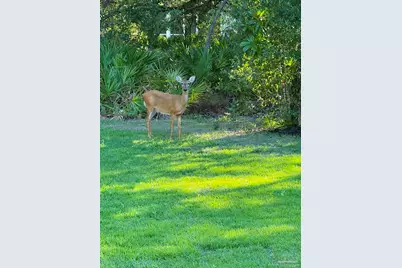 5579 North Shore Way, Pensacola, FL 32507 - Photo 16