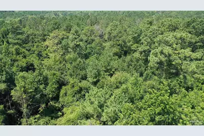 1 & 2 Jackson Cir, Brewton, AL 36426 - Photo 4