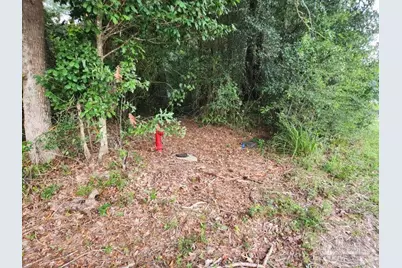 Hwy 4, Jay, FL 32565 - Photo 14