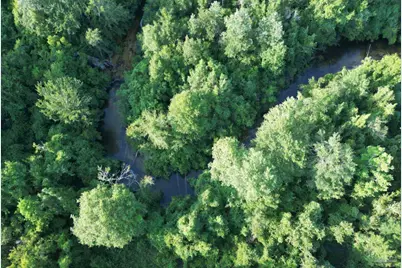 5810 Colts Crossing Ln, Milton, FL 32570 - Photo 4