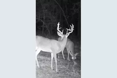 5810 Colts Crossing Ln, Milton, FL 32570 - Photo 18