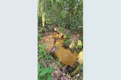 2561 Creek Chase Trl, Pace, FL 32571 - Photo 10