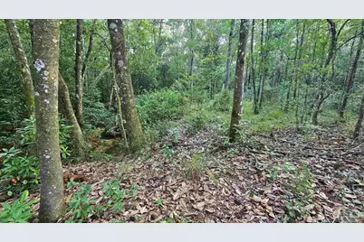 2561 Creek Chase Trl, Pace, FL 32571 - Photo 2