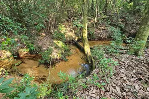 2561 Creek Chase Trl, Pace, FL 32571 - Photo 1