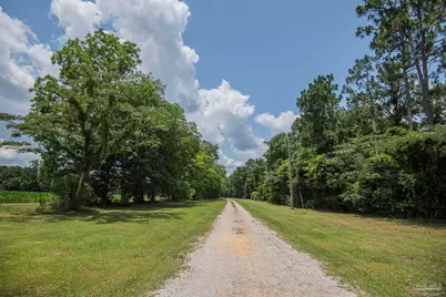 8501 Hwy 97, Walnut Hill, FL 32568 - Photo 52