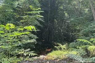 3090 Hwy 4, Jay, FL 32565 - Photo 6