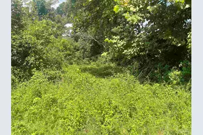 419 N Corry Field Rd, Pensacola, FL 32506 - Photo 4