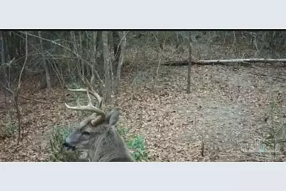 0000 Walling Rd, Milton, FL 32570 - Photo 12