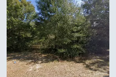 6214 Montgomery Ave, Pensacola, FL 32526 - Photo 4