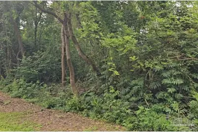 70 Juniper St, McDavid, FL 32568 - Photo 4