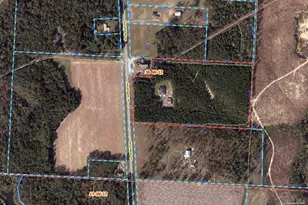 8410 Hwy 97, Walnut Hill, FL 32568 - Photo 66