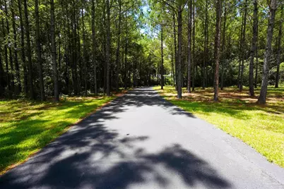 8410 Hwy 97, Walnut Hill, FL 32568 - Photo 2