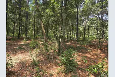 0000 McInnis St, Milton, FL 32583 - Photo 2