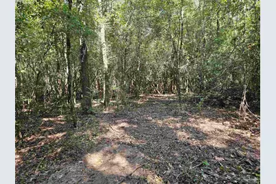 1130 Oak Ridge Trl, Cantonment, FL 32533 - Photo 4